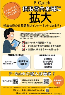 案の５