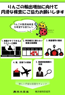 案の８（表）