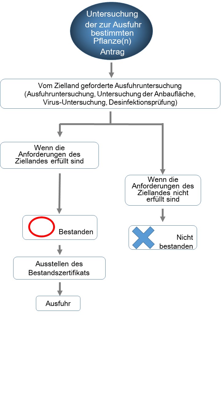 flow_ekensa_doitsu.jpg