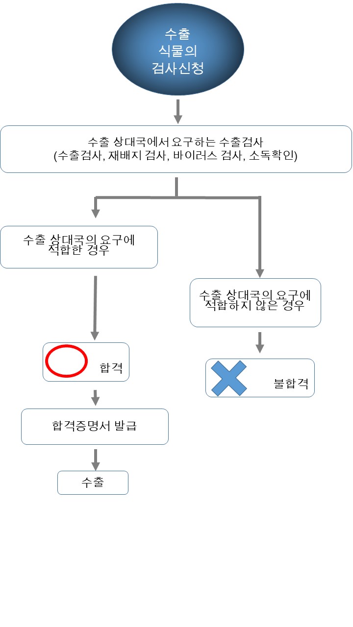 flow_ekensa_korea.jpg