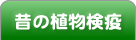 昔の植物検疫が表示されています