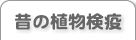 昔の植物検疫を表示します