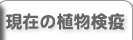 現在の植物検疫を表示します