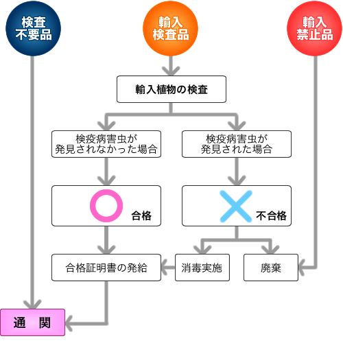 輸入検査の流れ