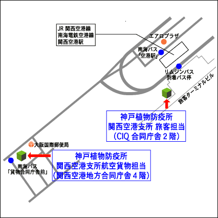 神戸植物防疫所 関西空港支所