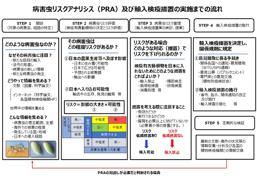 nagare