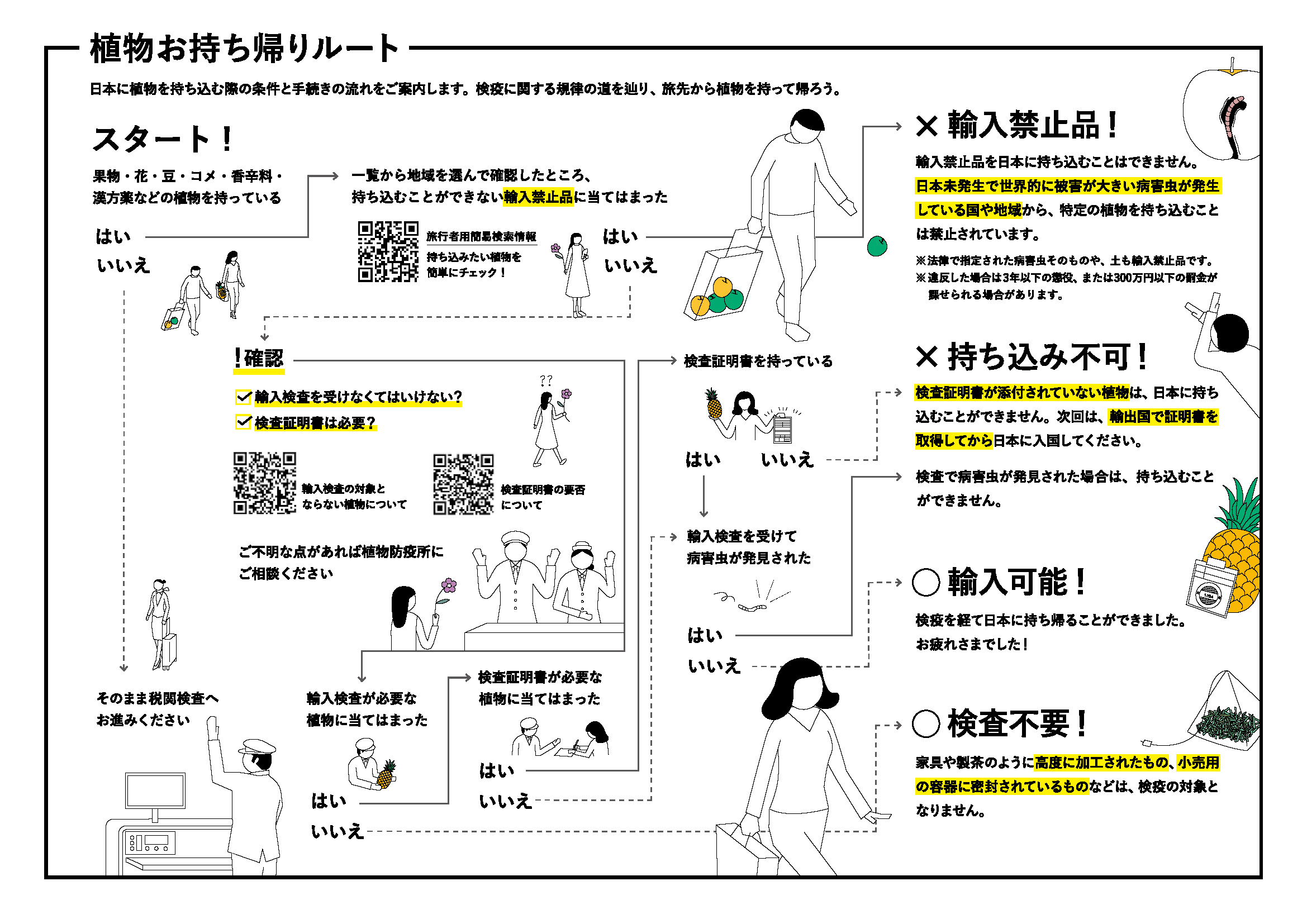 入荷予定商品 ミップウ様ご確認用 - その他