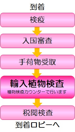 輸入検査