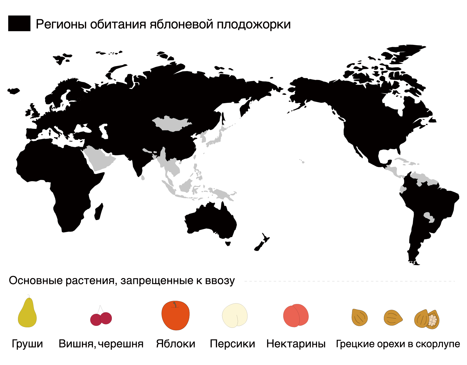 rus_4.png