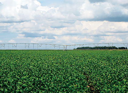 A soy field and center pivot irrigation in Brazil
