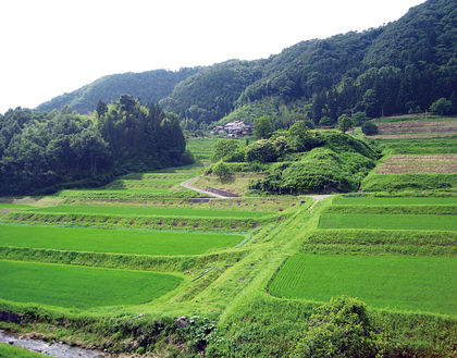 Paddy fields in a low uplands area