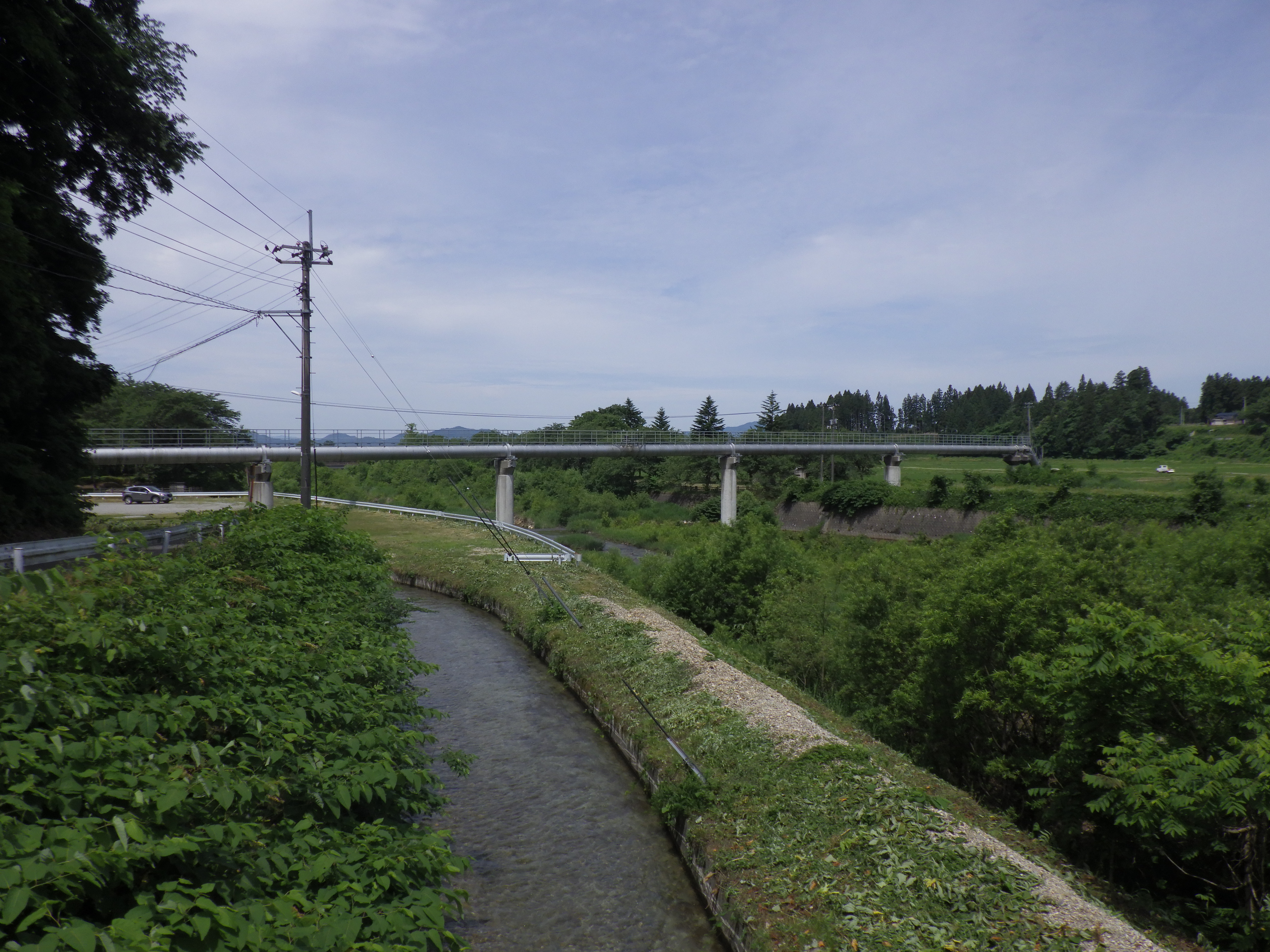 田沢二期