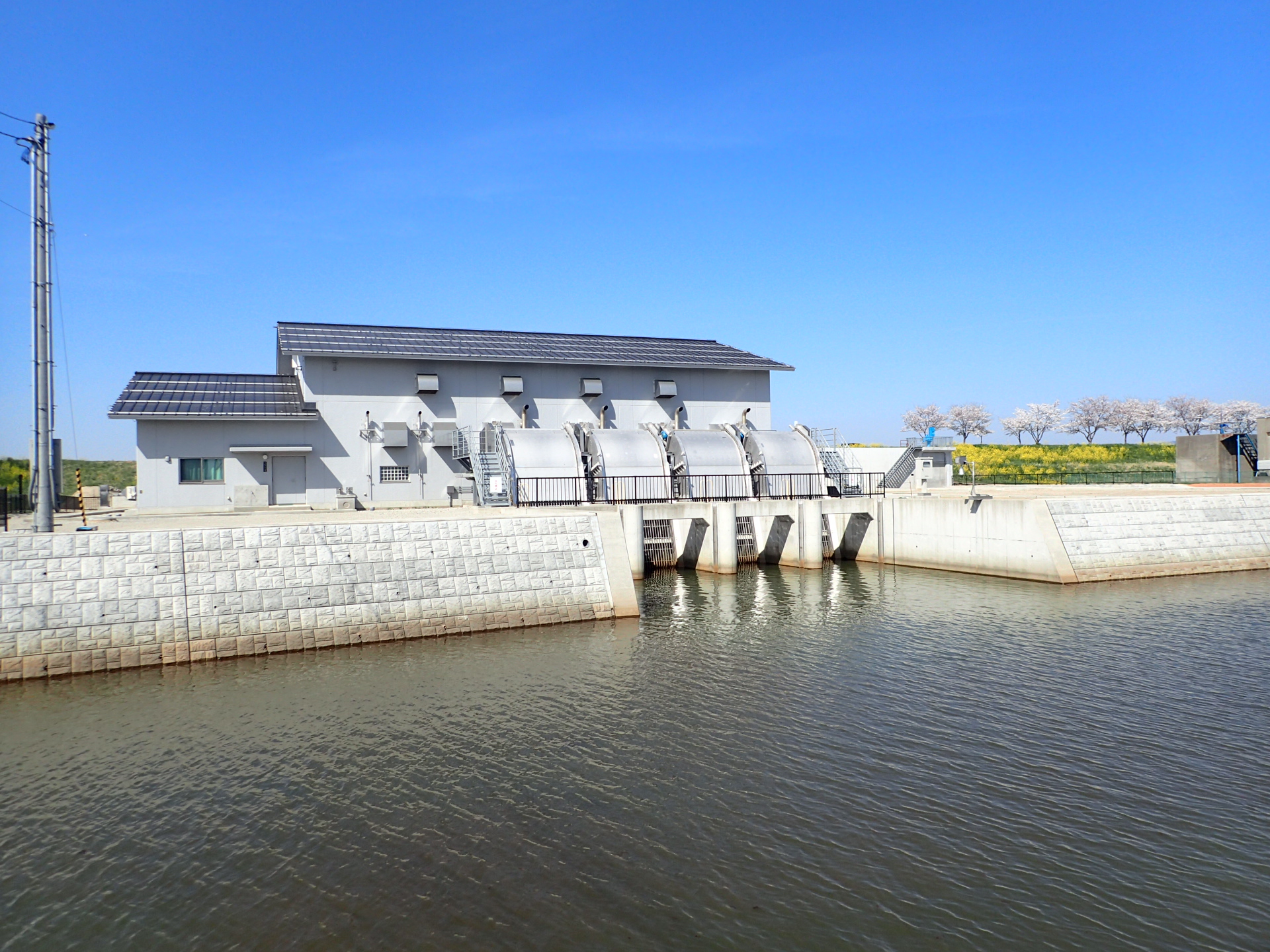 毒蛇排水機場全景