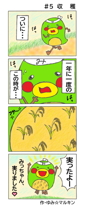 ミドミドミソド#5