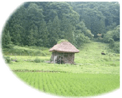 農村の風景