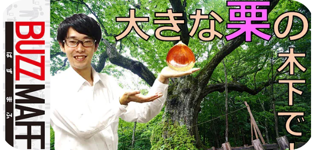 東北MAFFバンド