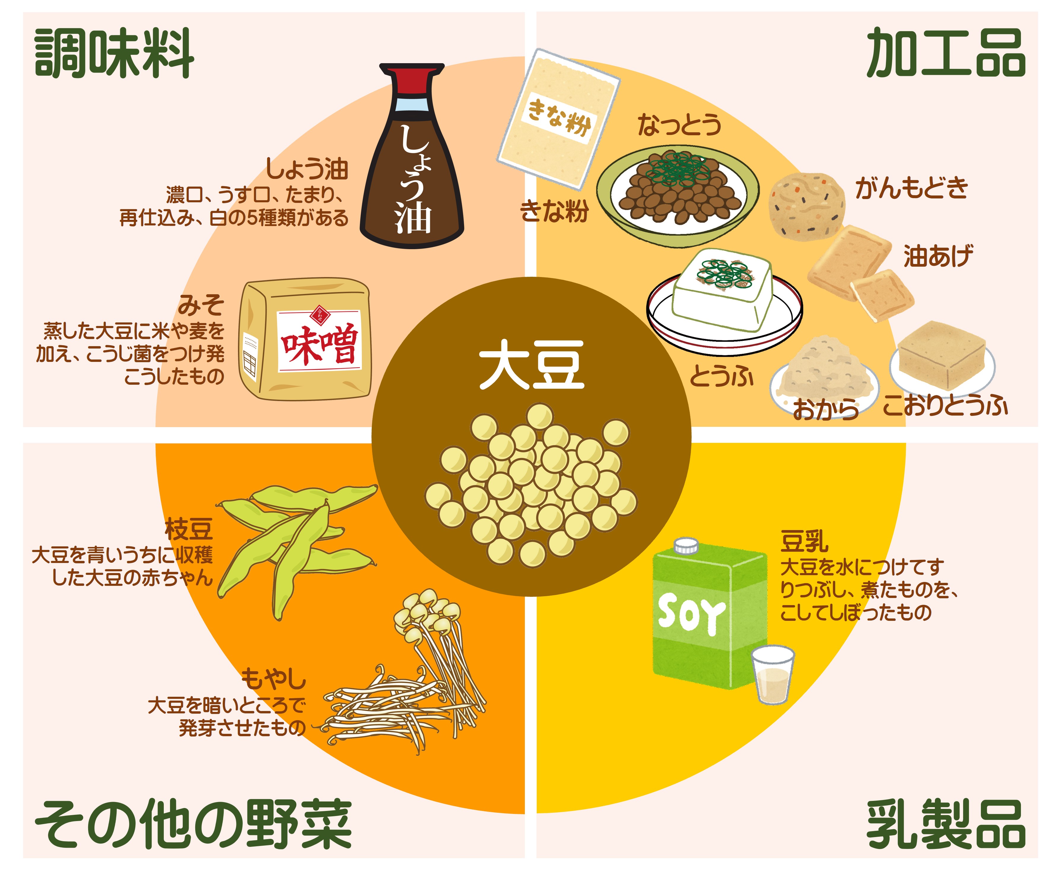 大豆：東北農政局 1大豆がへんしん