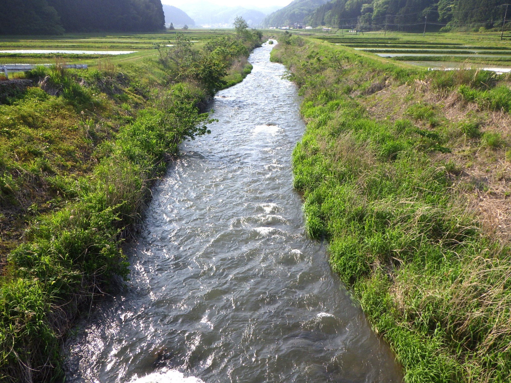 注水後の隈戸川(4.0m3/s)