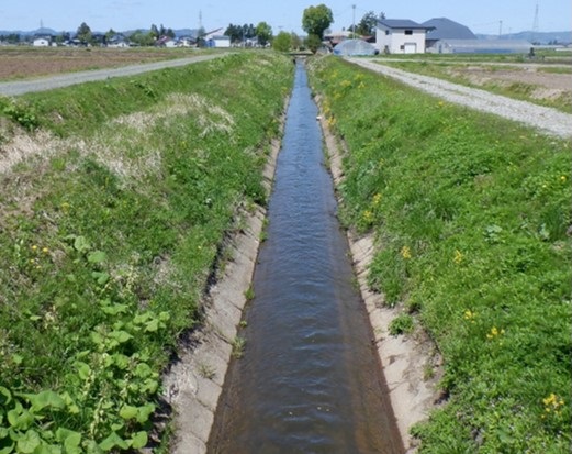 三の堰用水路　改修前