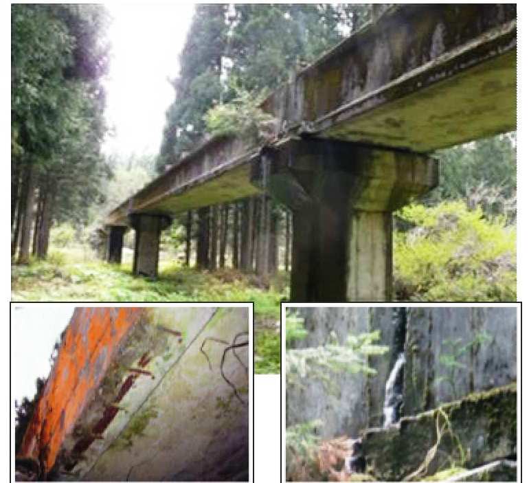 鉄筋露出・目地からの漏水