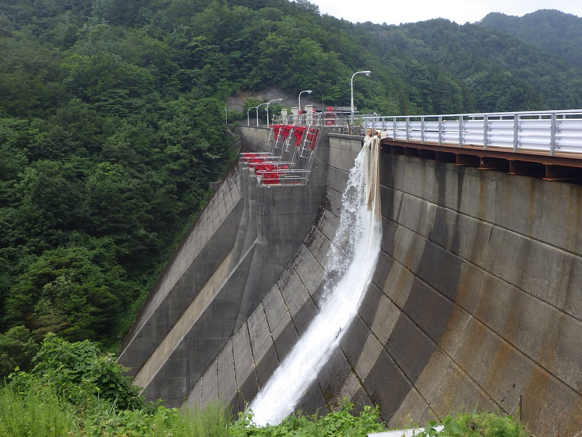 放流の様子