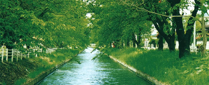 緑したたる稲生川用水(市街地)