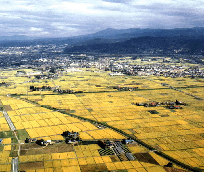 地区の営農