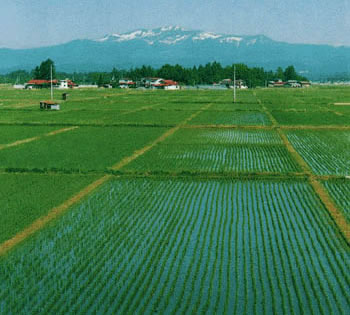 田園風景
