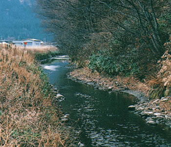 現在の北楯大堰