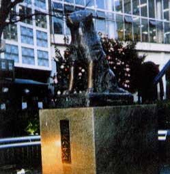 忠犬ハチ公
