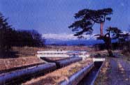 寿安上堰用水路・排水路