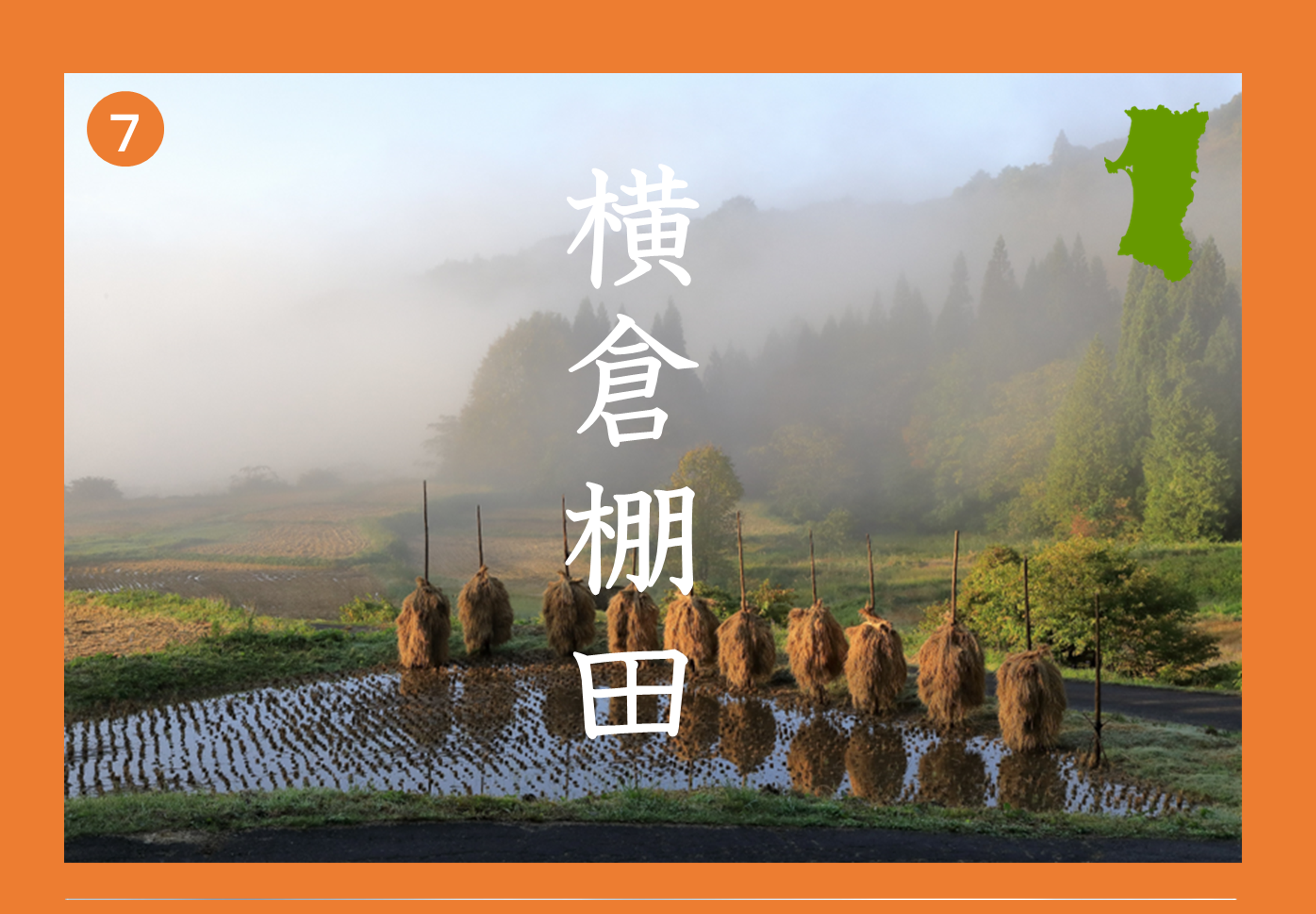 横倉棚田の画像