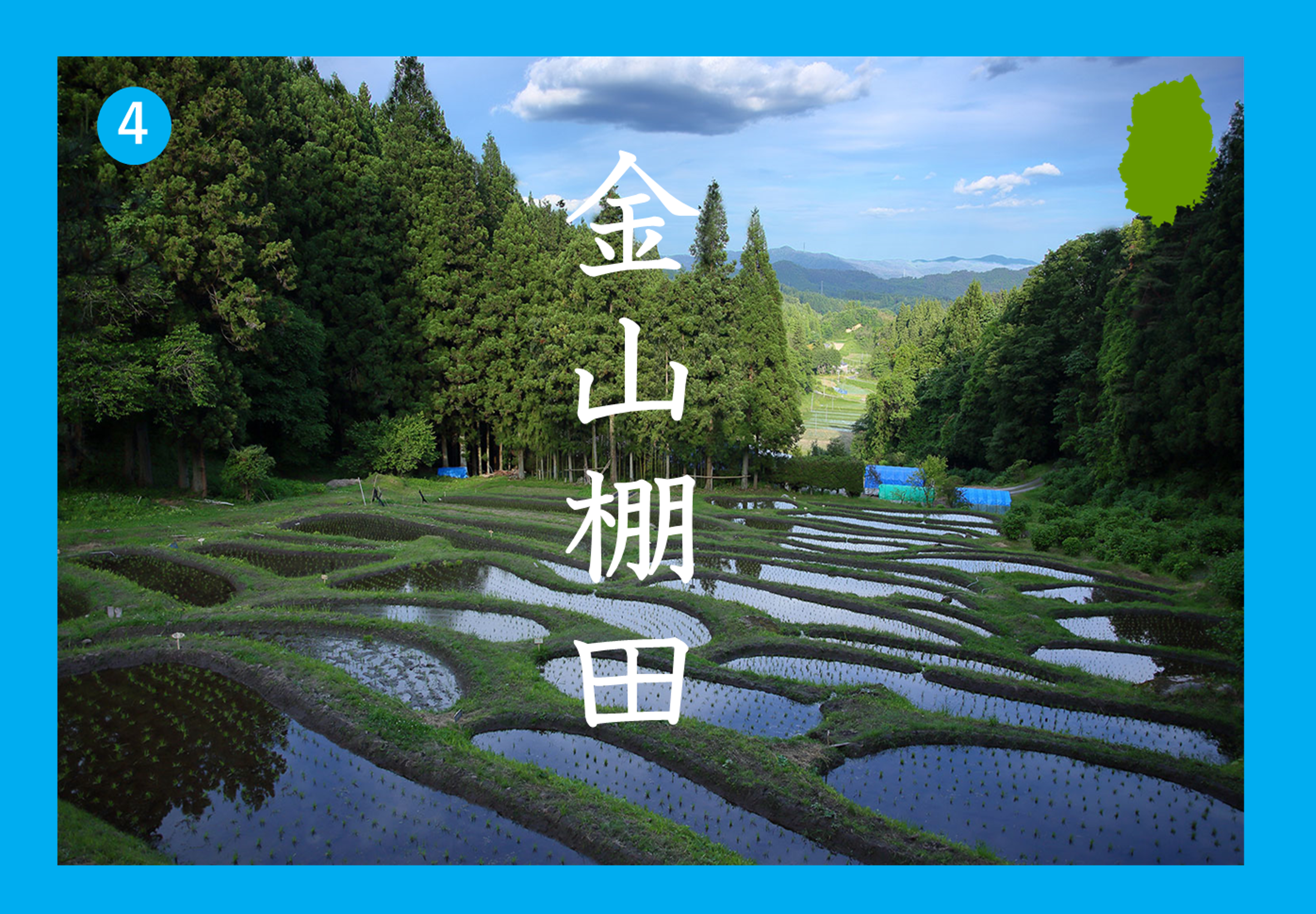 金山棚田画像