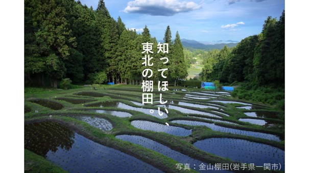 金山棚田