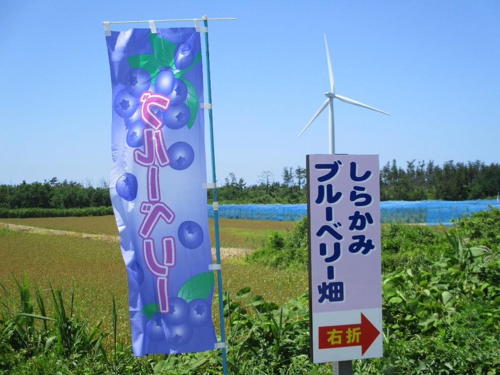 目印ののぼり旗