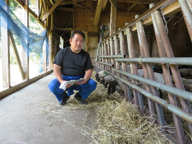 羊の飼育に取り組む関口さん