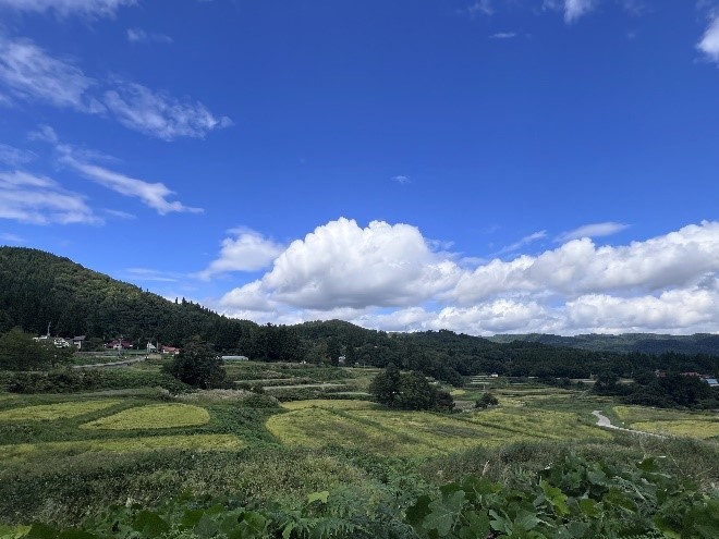 こづちやま棚田の風景
