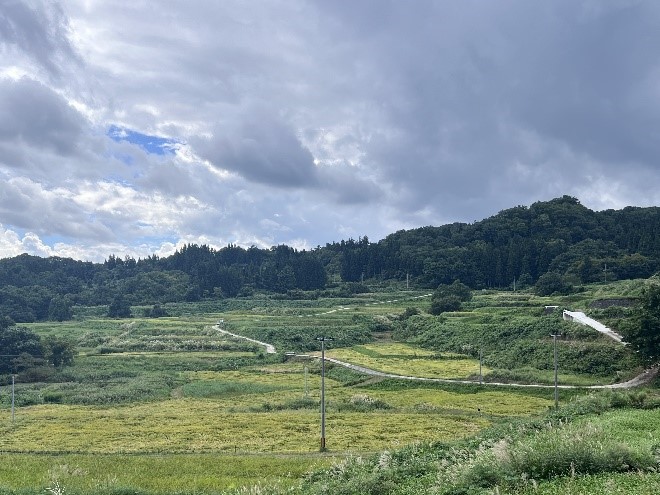 こづちやま棚田の風景