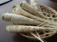 アザキ大根
