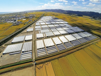 亘理町いちご団地(浜吉田)の全景