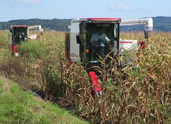 重連運転する大型コンバイン
