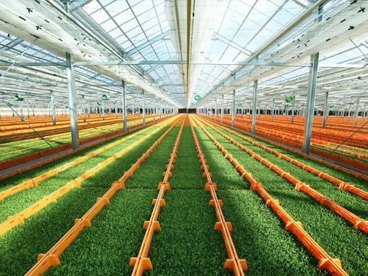 生産施設(写真は他県で稼働している施設)