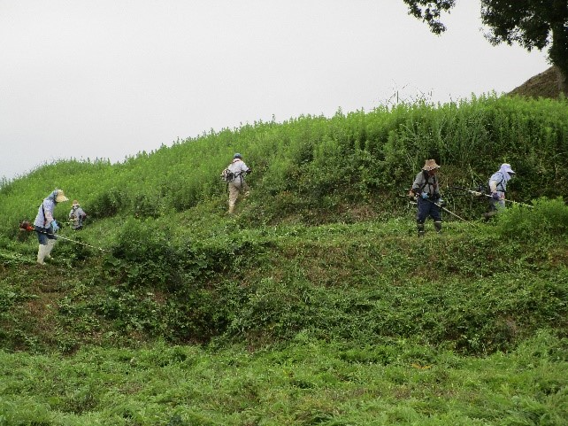 手作業での草刈りは大変です