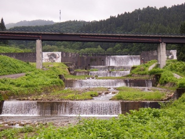 取水源の玉川と、その水を司る龍神様
