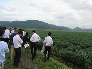 広大な大豆畑の様子