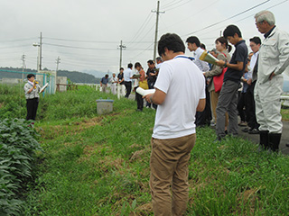 現地調査で説明に聞き入る参加者