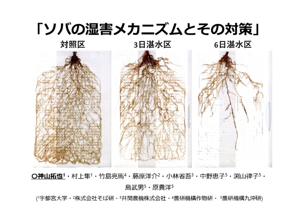 神山先生スライド