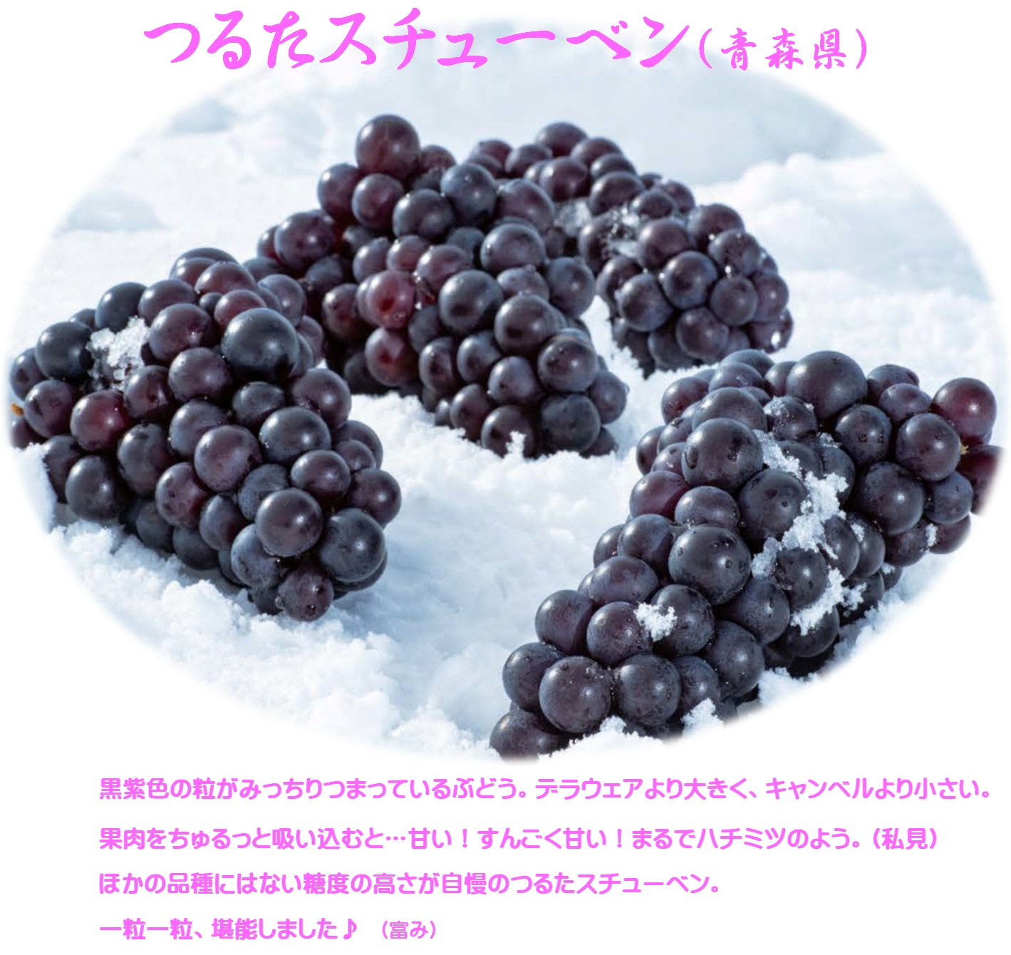 つるたスチューベン