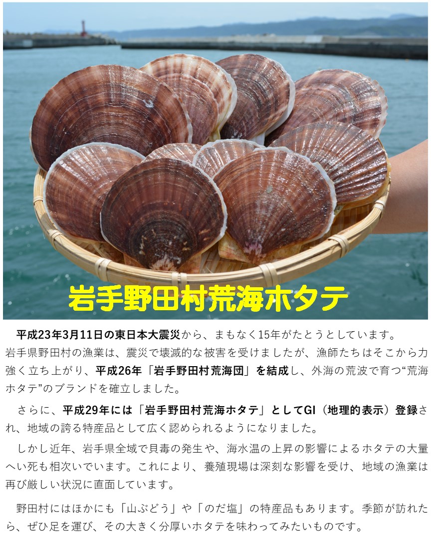 岩手野田村荒海ホタテ