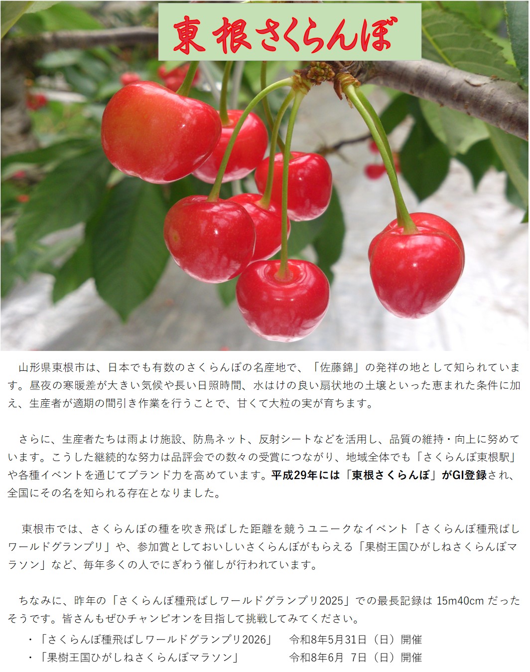 東根さくらんぼ